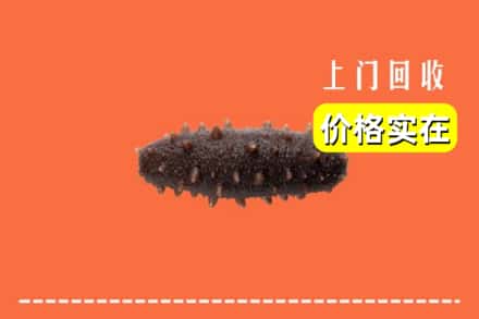 凉山州越西回收海参