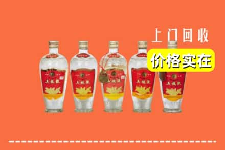 凉山州越西回收老五粮液